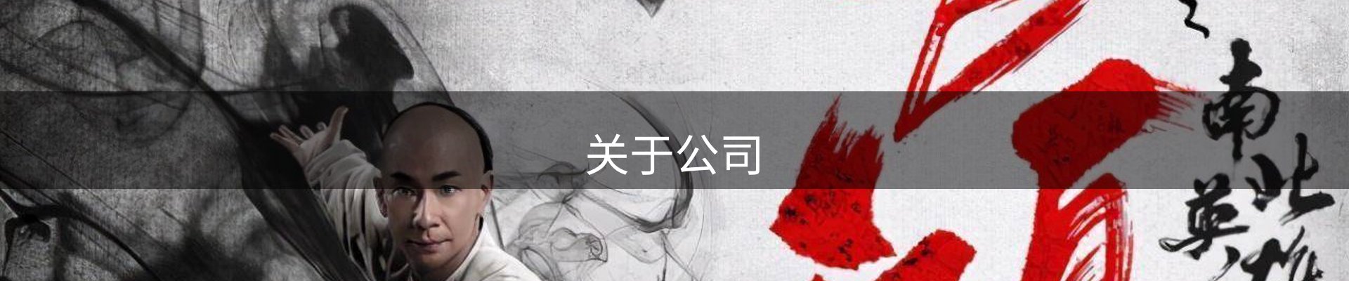 关于公司